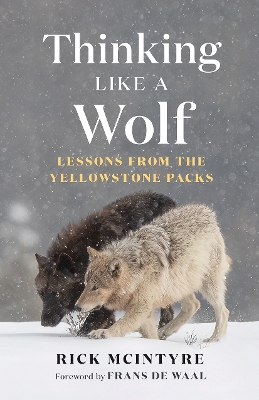 Thinking Like a Wolf: Lessons From the Yellowstone Packs book