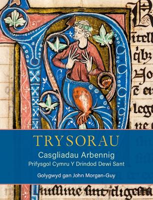 Trysorau: Casgliadau Arbennig Prifysgol Cymru Y Drindod Dewi Sant book