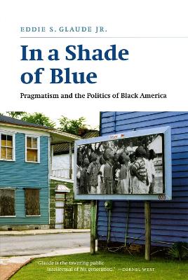 In a Shade of Blue book