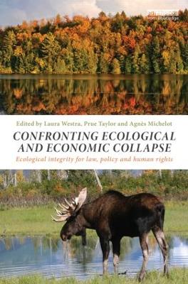 Confronting Ecological and Economic Collapse book