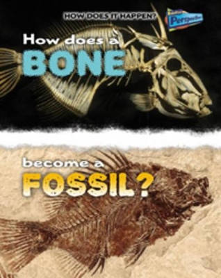 How Does a Bone Become a Fossil? book