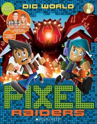 Pixel Raiders #1: Dig World book