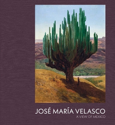 Jose Maria Velasco: A View of Mexico book