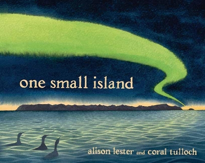 One Small Island book