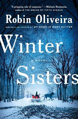 Winter Sisters book