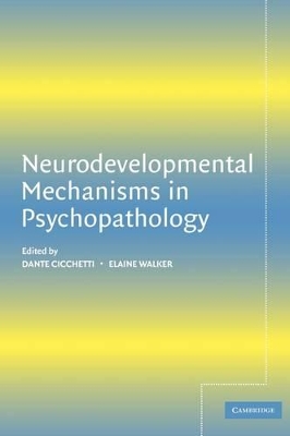 Neurodevelopmental Mechanisms in Psychopathology by Dante Cicchetti