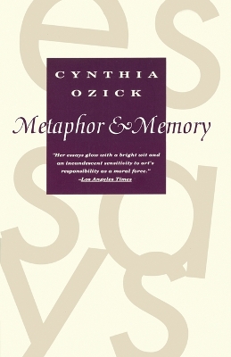 Metaphor And Memory book