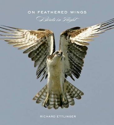 On Feathered Wings: Birds in Flight book