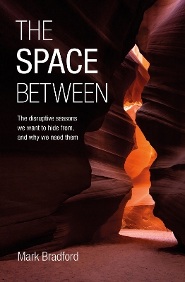 The Space Between: The disruptive seasons we want to hide from, and why we need them book