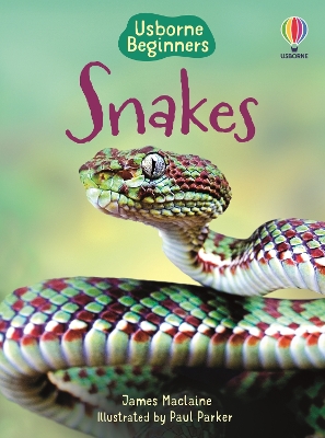 Usborne Beginners: Snakes book