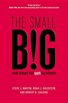The Small Big by Steve J. Martin