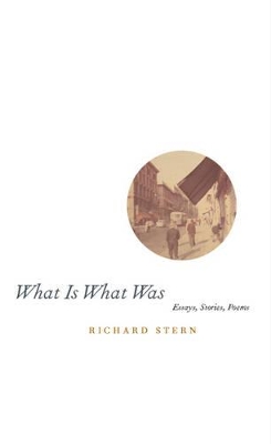 What is What Was by Richard Stern