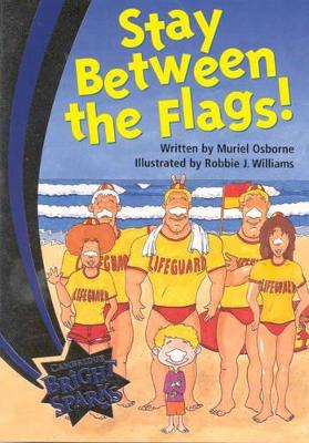 Bright Sparks: Stay between the Flags! book