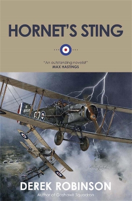 Hornet's Sting book