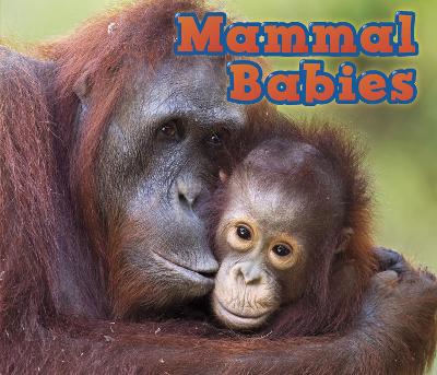 Mammal Babies book