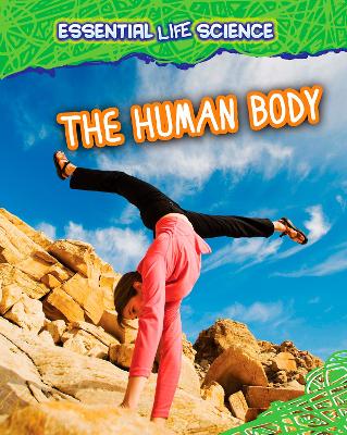 The Human Body by Melanie Waldron