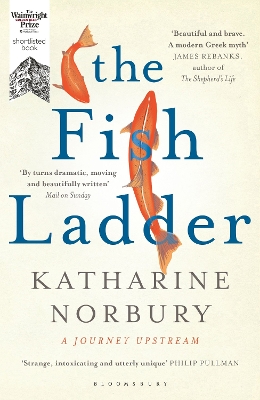 The The Fish Ladder by Katharine Norbury