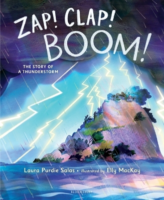 Zap! Clap! Boom!: The Story of a Thunderstorm book