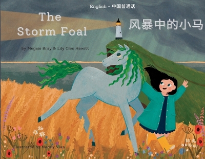 The Storm Foal: 风暴中的小马 book