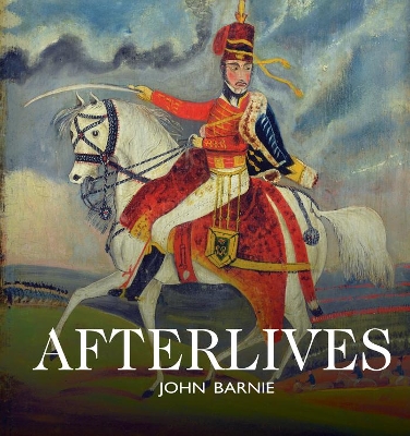 Aferlives book