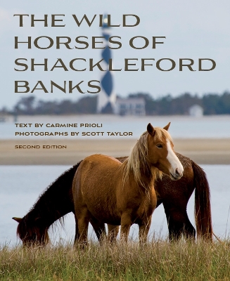 Wild Horses of Shackleford Banks book