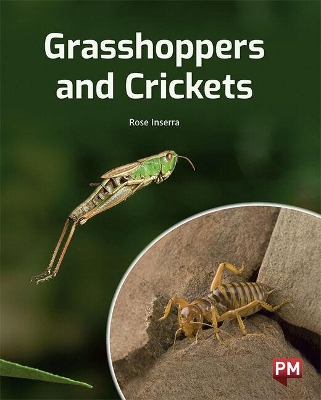 Grasshoppers and Crickets book