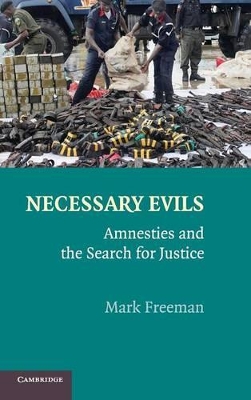 Necessary Evils by Mark Freeman