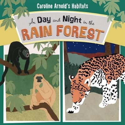 Day and Night in the Amazon Rainforest book