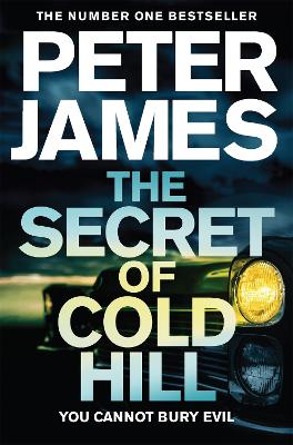 The Secret of Cold Hill book