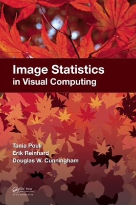 Image Statistics in Visual Computing book