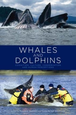 Whales and Dolphins by Philippa Brakes