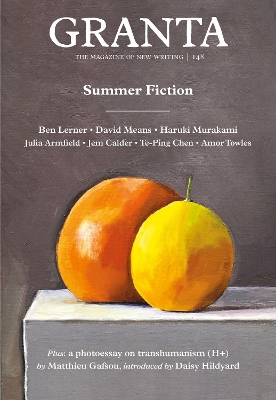 Granta 148: Summer Fiction book