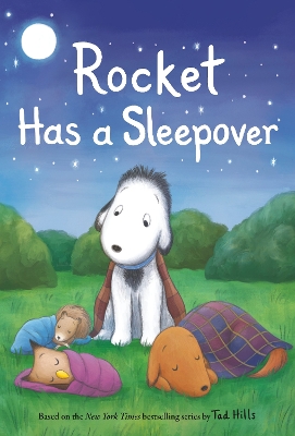 Rocket Has a Sleepover book