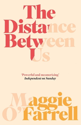 The The Distance Between Us by Maggie O'Farrell