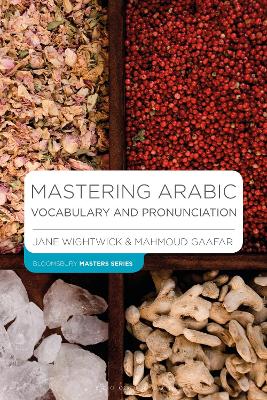 Mastering Arabic Vocabulary and Pronunciation book