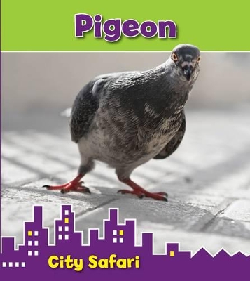 Pigeon: City Safari book