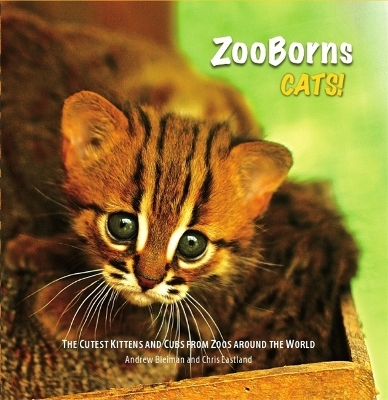 ZooBorns: Cats book