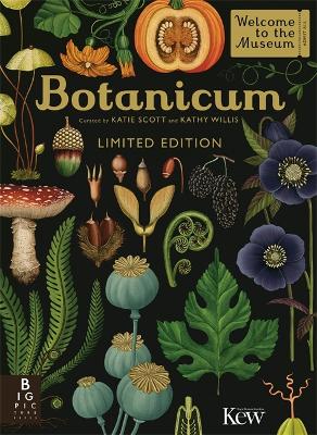 Botanicum by Kathy Willis