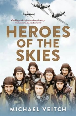 Heroes Of The Skies book