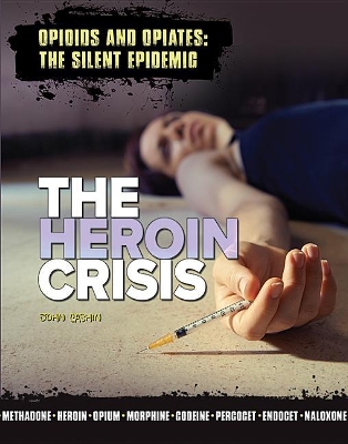 Heroin Crisis book