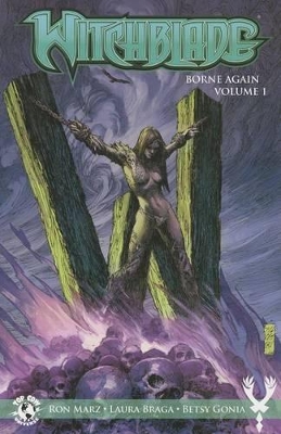 Witchblade: Borne Again Volume 1 book