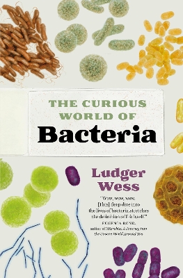 The Curious World of Bacteria book