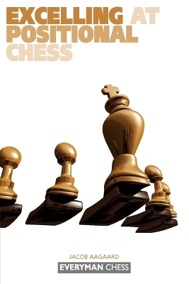 Excelling at Positional Chess: book