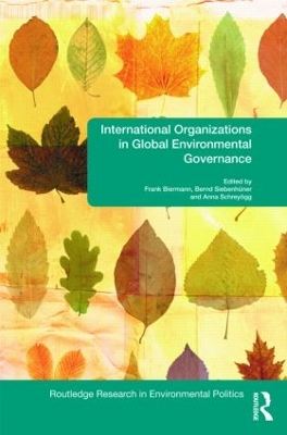 International Organizations in Global Environmental Governance book