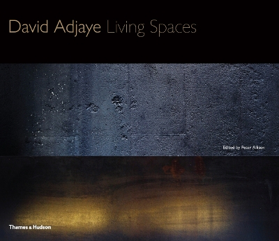 David Adjaye book