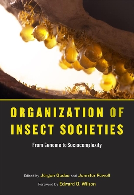 Organization of Insect Societies by Edward O. Wilson