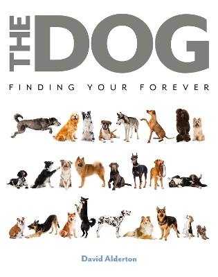 The Dog: Finding Your Forever book