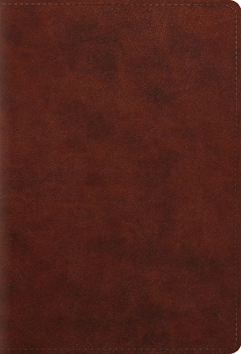 ESV Student Study Bible by David Chapman