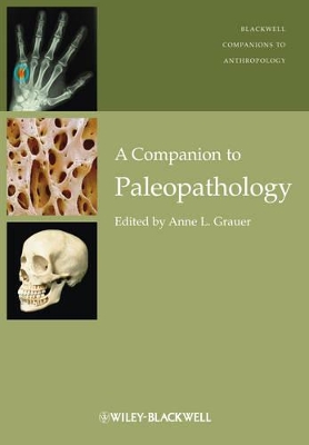 A Companion to Paleopathology by Anne L. Grauer