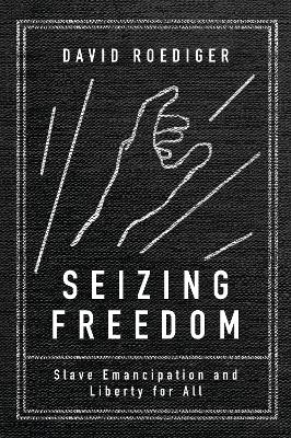 Seizing Freedom by David R Roediger